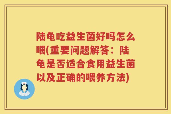 陆龟吃益生菌好吗怎么喂(重要问题解答：陆龟是否适合食用益生菌以及正确的喂养方法)