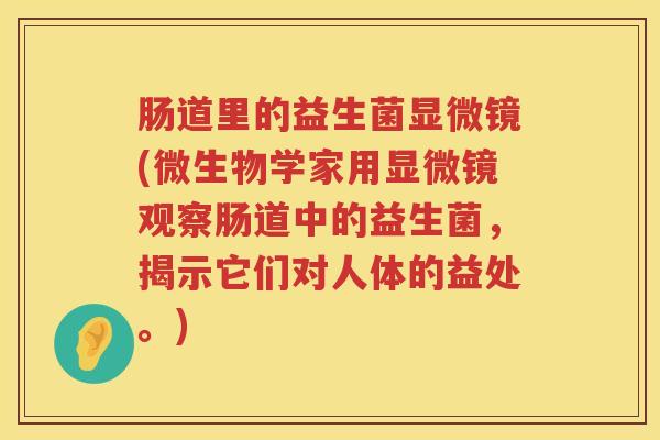 肠道里的益生菌显微镜(微生物学家用显微镜观察肠道中的益生菌，揭示它们对人体的益处。)