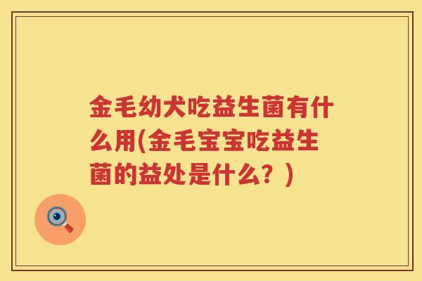 金毛幼犬吃益生菌有什么用(金毛宝宝吃益生菌的益处是什么？)