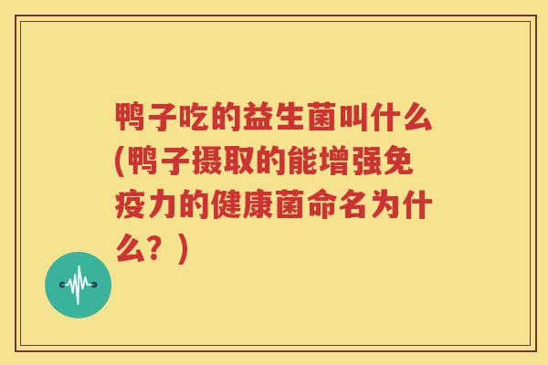 鸭子吃的益生菌叫什么(鸭子摄取的能增强免疫力的健康菌命名为什么？)