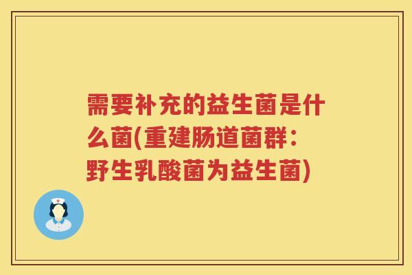 需要补充的益生菌是什么菌(重建肠道菌群：野生乳酸菌为益生菌)