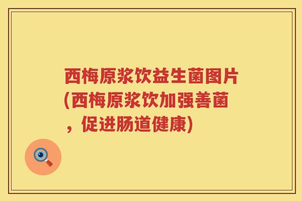 西梅原浆饮益生菌图片(西梅原浆饮加强善菌，促进肠道健康)
