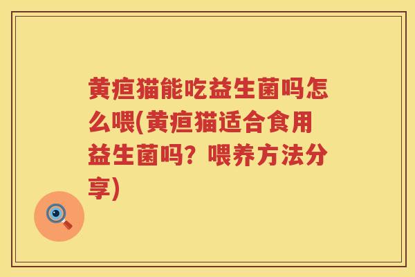黄疸猫能吃益生菌吗怎么喂(黄疸猫适合食用益生菌吗？喂养方法分享)