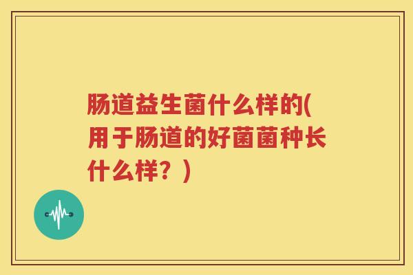 肠道益生菌什么样的(用于肠道的好菌菌种长什么样？)