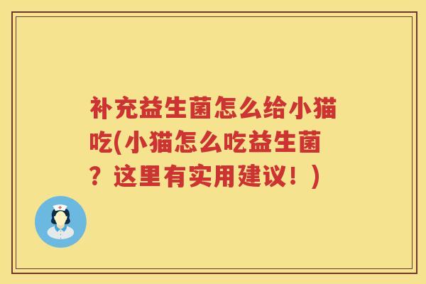 补充益生菌怎么给小猫吃(小猫怎么吃益生菌？这里有实用建议！)