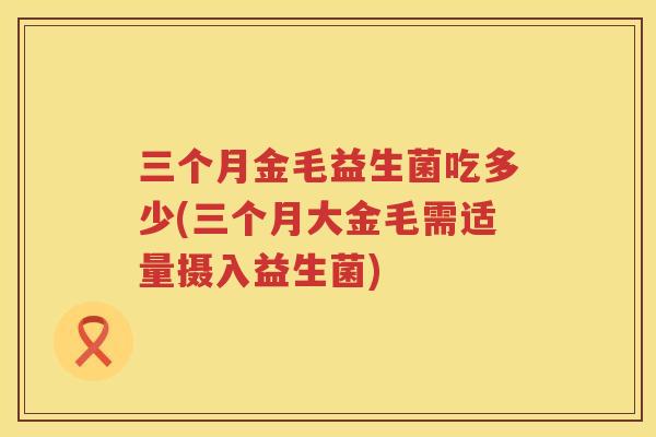 三个月金毛益生菌吃多少(三个月大金毛需适量摄入益生菌)