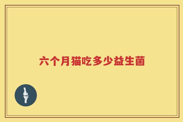 六个月猫吃多少益生菌