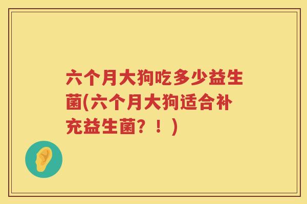 六个月大狗吃多少益生菌(六个月大狗适合补充益生菌？！)