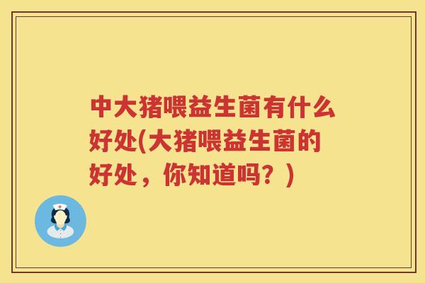 中大猪喂益生菌有什么好处(大猪喂益生菌的好处，你知道吗？)