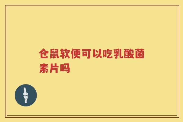 仓鼠软便可以吃乳酸菌素片吗