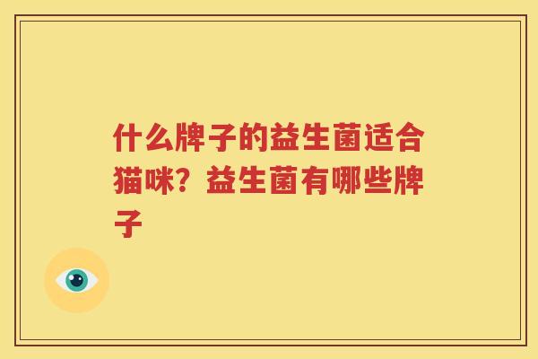什么牌子的益生菌适合猫咪？益生菌有哪些牌子