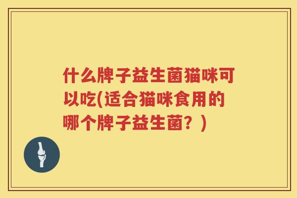 什么牌子益生菌猫咪可以吃(适合猫咪食用的哪个牌子益生菌？)