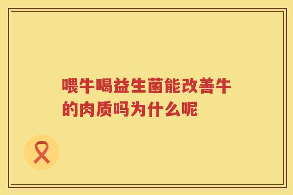 喂牛喝益生菌能改善牛的肉质吗为什么呢