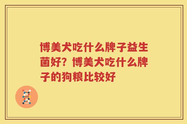 博美犬吃什么牌子益生菌好？博美犬吃什么牌子的狗粮比较好