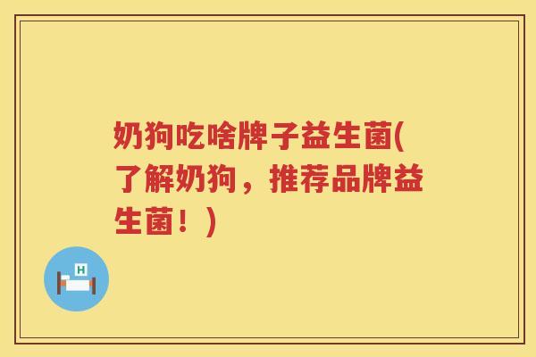 奶狗吃啥牌子益生菌(了解奶狗，推荐品牌益生菌！)