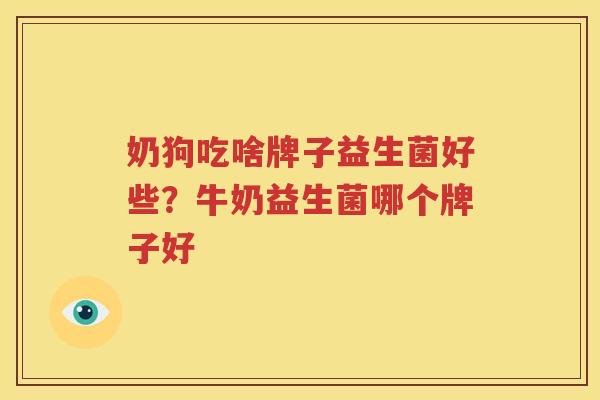 奶狗吃啥牌子益生菌好些？牛奶益生菌哪个牌子好