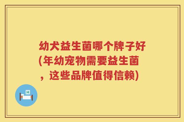 幼犬益生菌哪个牌子好(年幼宠物需要益生菌，这些品牌值得信赖)