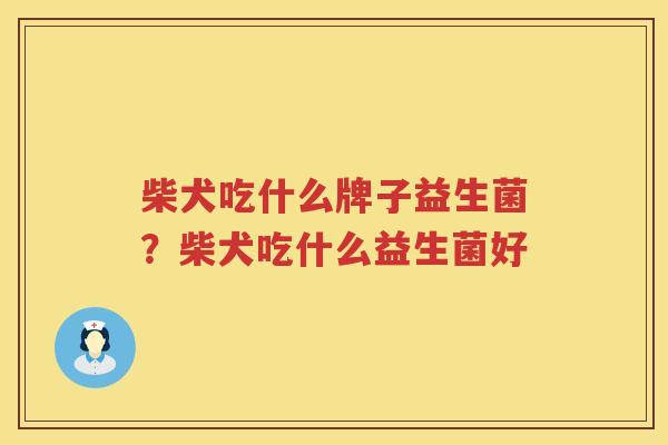 柴犬吃什么牌子益生菌？柴犬吃什么益生菌好