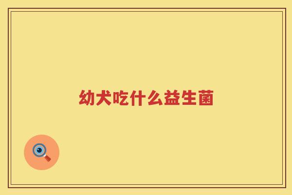 幼犬吃什么益生菌