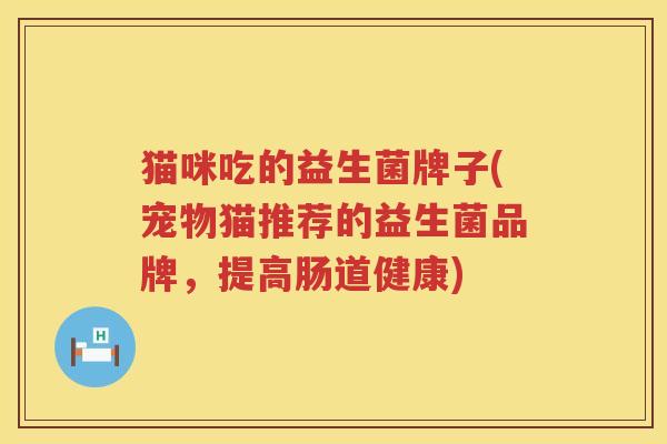 猫咪吃的益生菌牌子(宠物猫推荐的益生菌品牌，提高肠道健康)