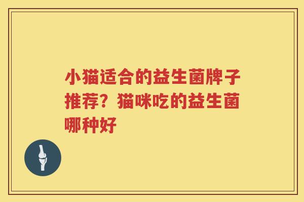 小猫适合的益生菌牌子推荐？猫咪吃的益生菌哪种好