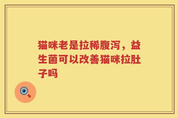 猫咪老是拉稀腹泻，益生菌可以改善猫咪拉肚子吗