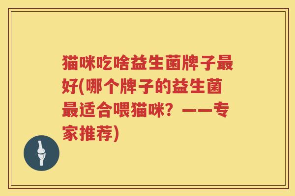猫咪吃啥益生菌牌子最好(哪个牌子的益生菌最适合喂猫咪？——专家推荐)