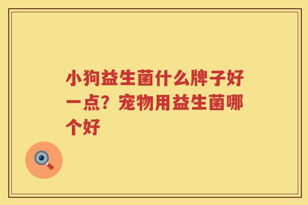 小狗益生菌什么牌子好一点？宠物用益生菌哪个好