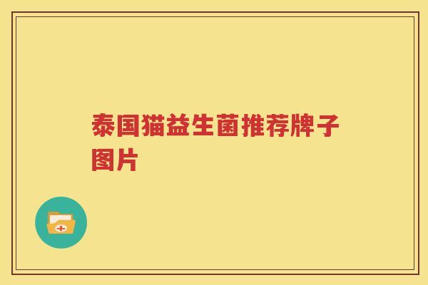泰国猫益生菌推荐牌子图片