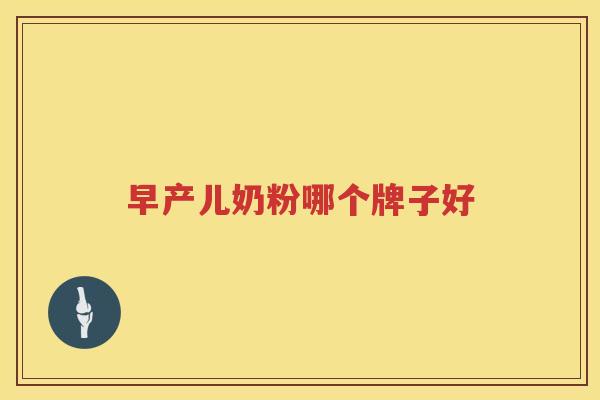 早产儿奶粉哪个牌子好