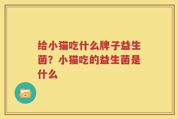 给小猫吃什么牌子益生菌？小猫吃的益生菌是什么