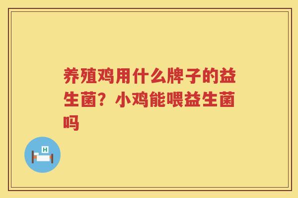 养殖鸡用什么牌子的益生菌？小鸡能喂益生菌吗