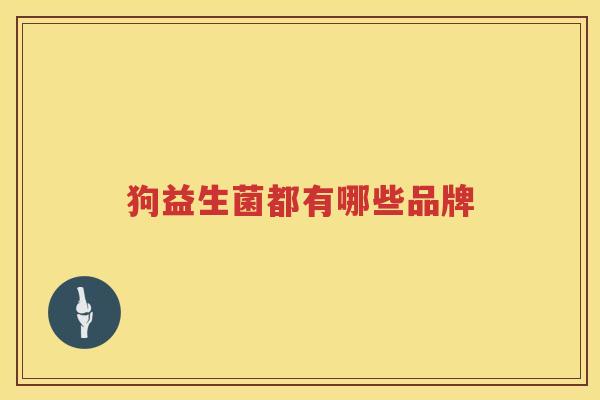 狗益生菌都有哪些品牌