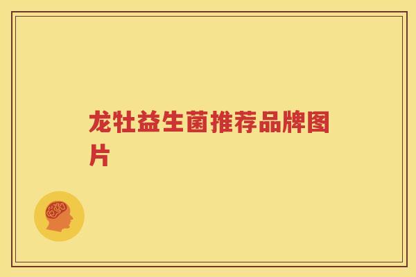 龙牡益生菌推荐品牌图片