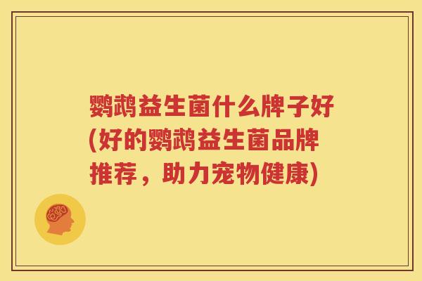 鹦鹉益生菌什么牌子好(好的鹦鹉益生菌品牌推荐，助力宠物健康)