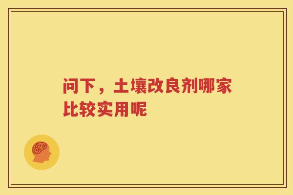 问下，土壤改良剂哪家比较实用呢