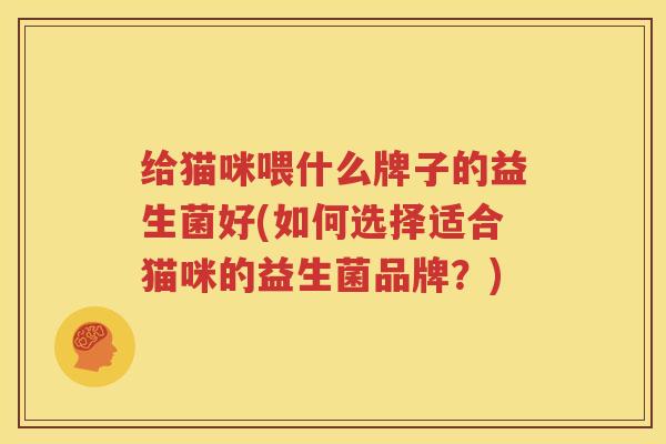 给猫咪喂什么牌子的益生菌好(如何选择适合猫咪的益生菌品牌？)