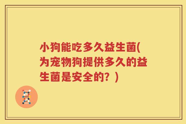 小狗能吃多久益生菌(为宠物狗提供多久的益生菌是安全的？)