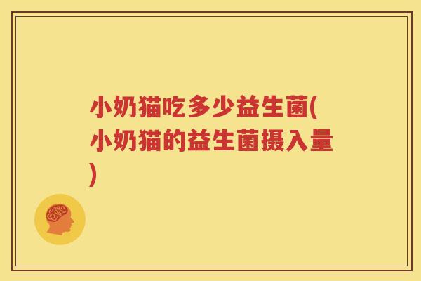 小奶猫吃多少益生菌(小奶猫的益生菌摄入量)