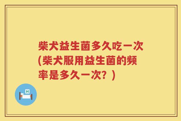 柴犬益生菌多久吃一次(柴犬服用益生菌的频率是多久一次？)
