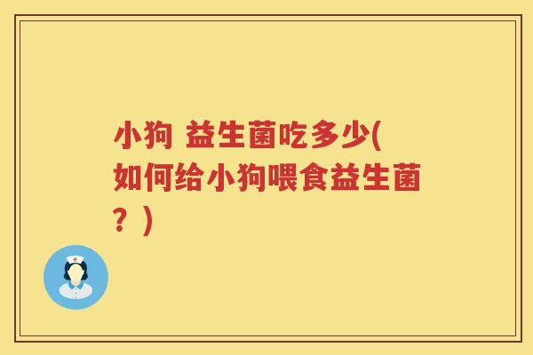 小狗 益生菌吃多少(如何给小狗喂食益生菌？)