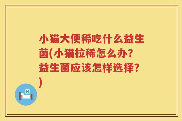 小猫大便稀吃什么益生菌(小猫拉稀怎么办？益生菌应该怎样选择？)