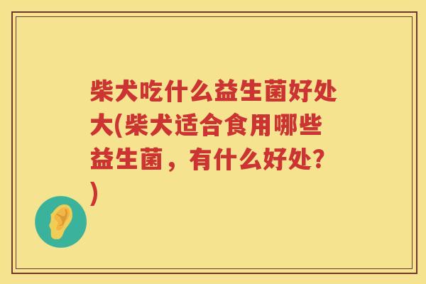 柴犬吃什么益生菌好处大(柴犬适合食用哪些益生菌，有什么好处？)