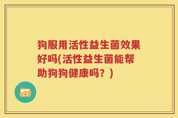 狗服用活性益生菌效果好吗(活性益生菌能帮助狗狗健康吗？)