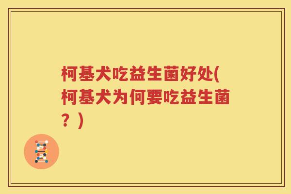 柯基犬吃益生菌好处(柯基犬为何要吃益生菌？)
