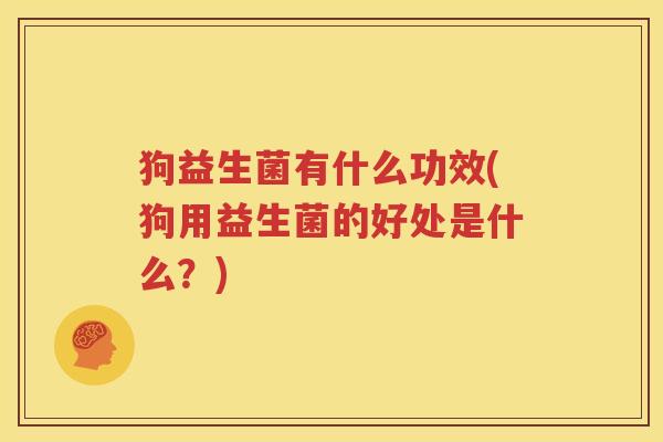 狗益生菌有什么功效(狗用益生菌的好处是什么？)