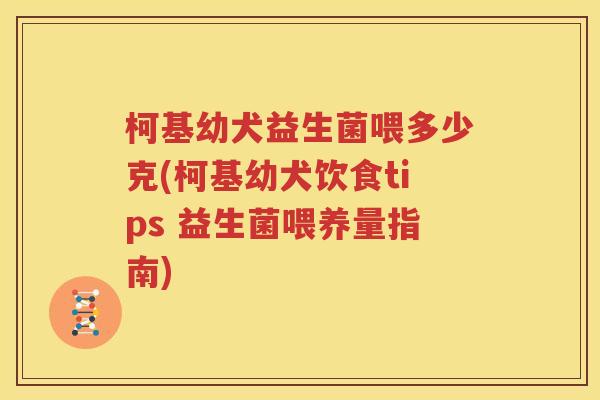 柯基幼犬益生菌喂多少克(柯基幼犬饮食tips 益生菌喂养量指南)