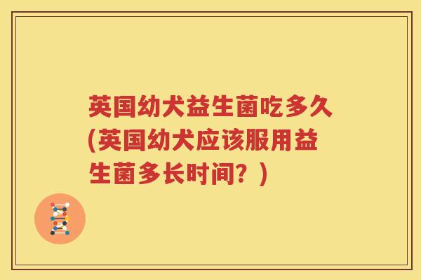 英国幼犬益生菌吃多久(英国幼犬应该服用益生菌多长时间？)