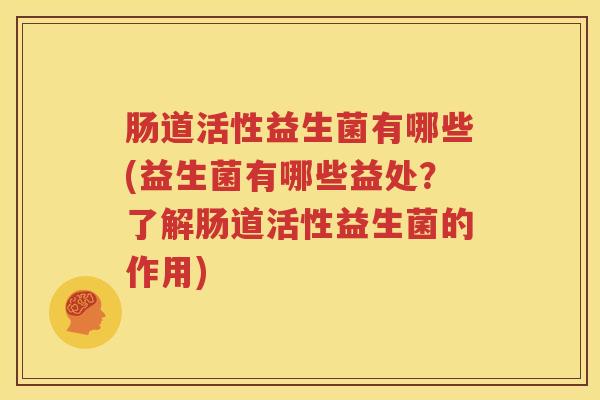 肠道活性益生菌有哪些(益生菌有哪些益处？了解肠道活性益生菌的作用)
