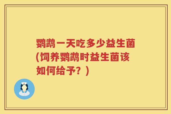 鹦鹉一天吃多少益生菌(饲养鹦鹉时益生菌该如何给予？)